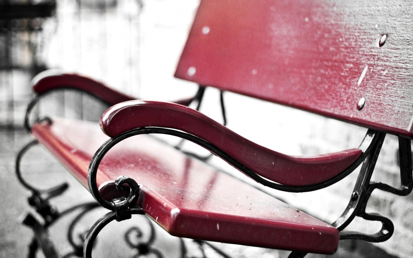 bench, Selective Coloring, Depth Of Field Wallpaper