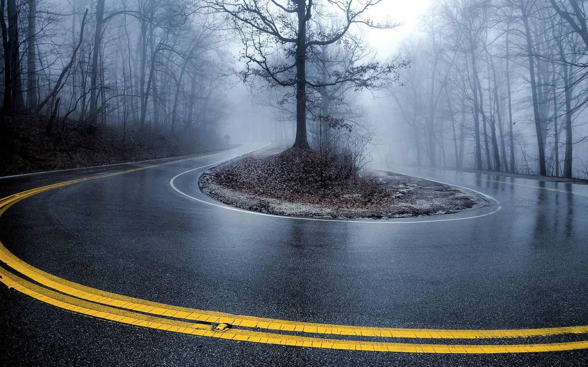 road, Trees, Wet, Mist, Turn, Contrast, 16:10, Hairpin Turns Wallpaper
