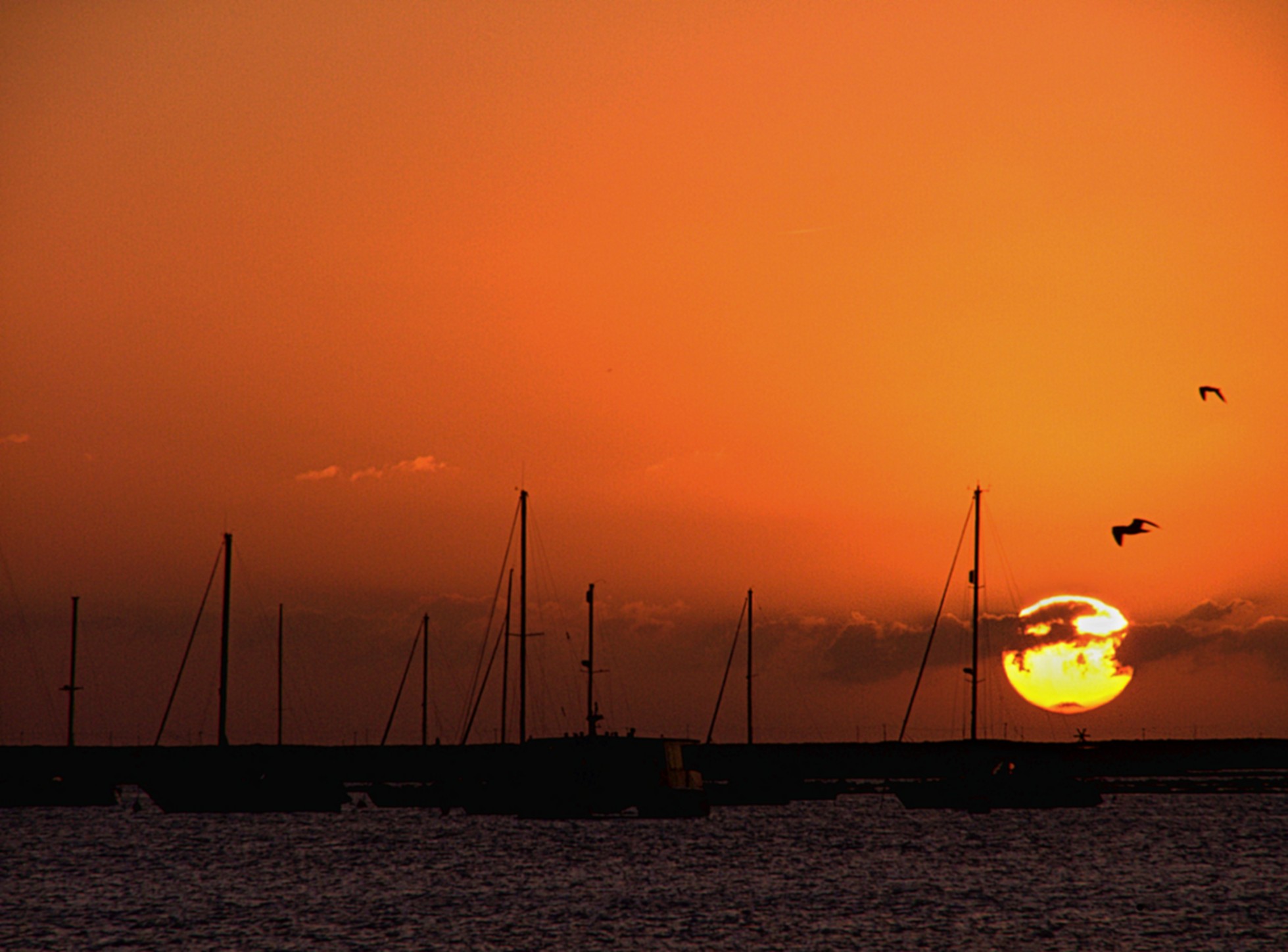 sunset Wallpaper