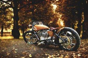Harley Davidson, Fall, Leaves