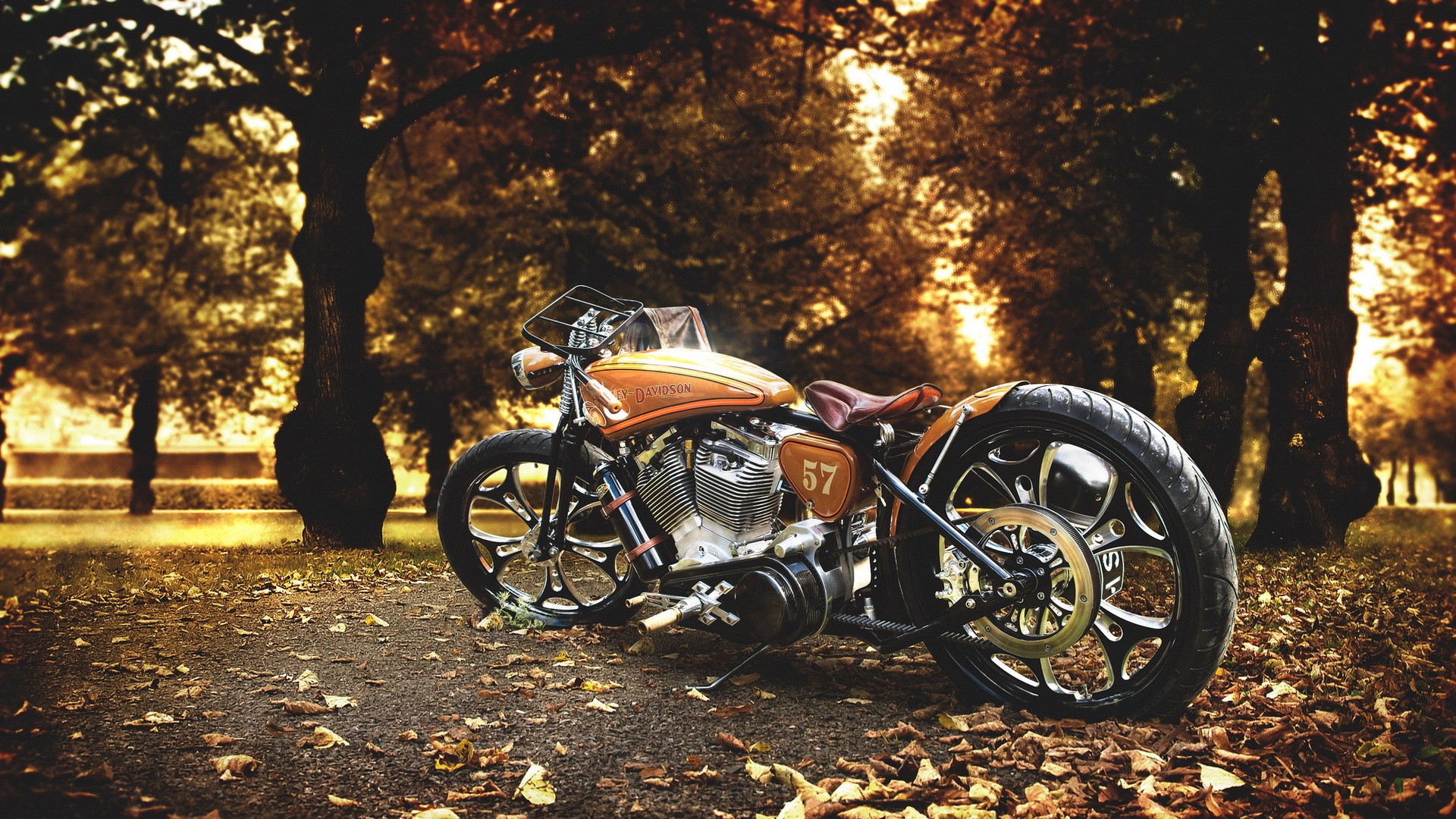 Harley Davidson, Fall, Leaves Wallpaper