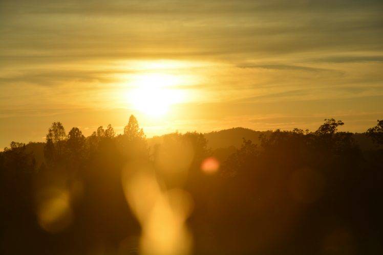 Sun, Sunset, USA, Trees HD Wallpaper Desktop Background
