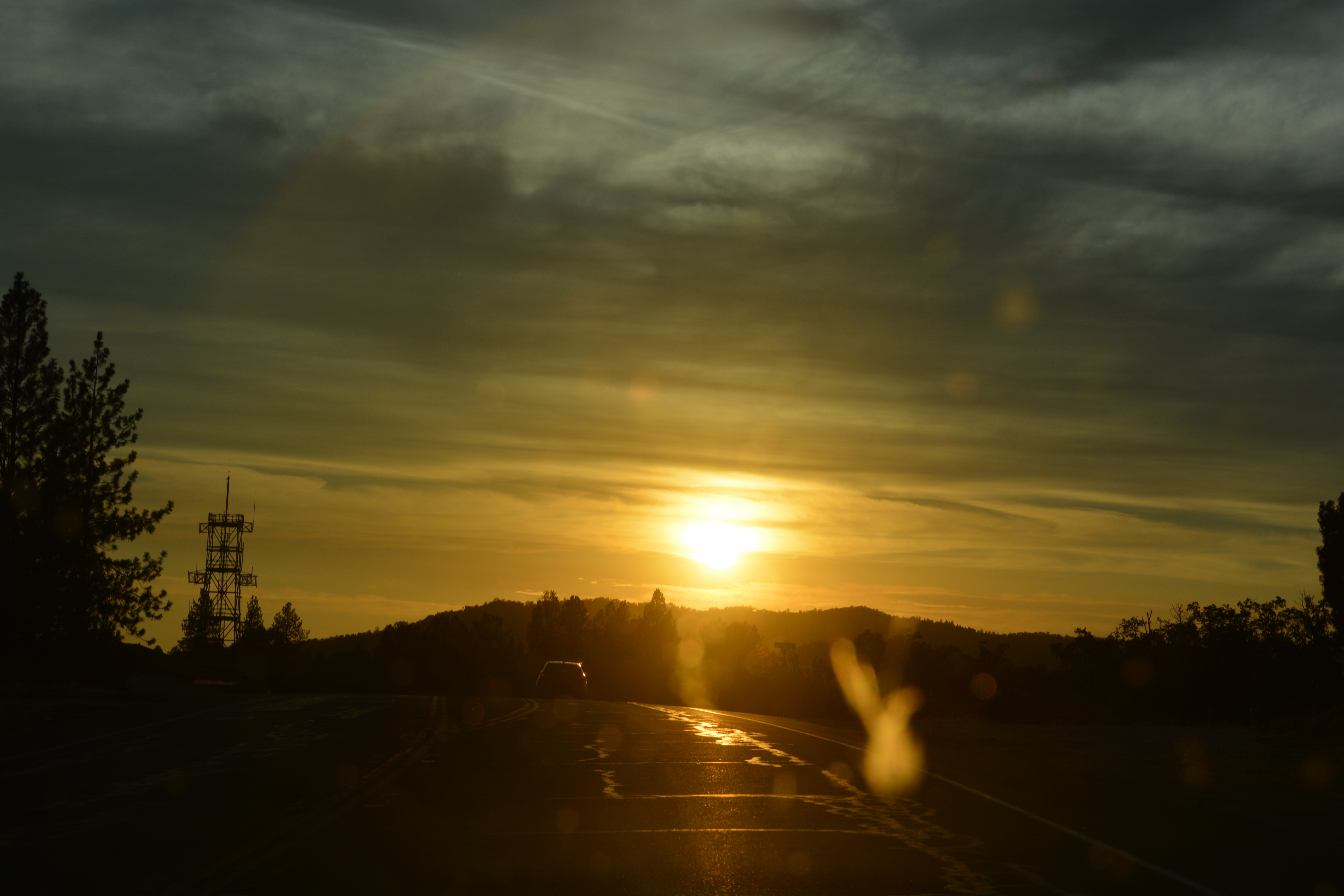 Sun, Sunset, USA, Trees Wallpaper
