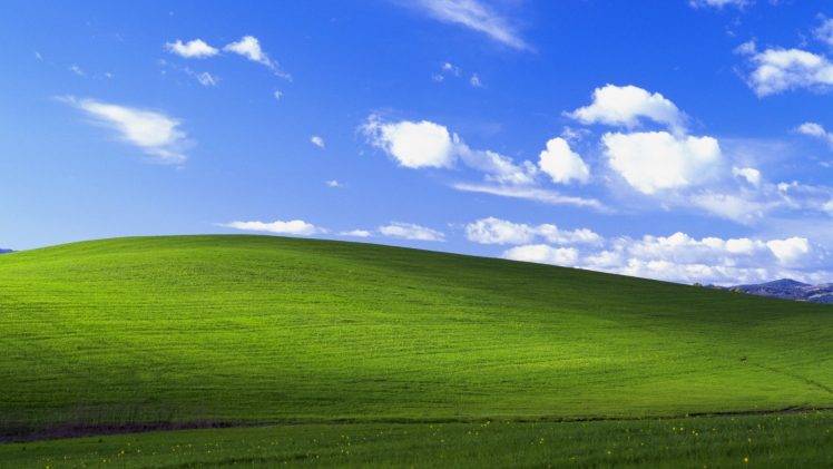 Windows XP, Garden HD Wallpaper Desktop Background