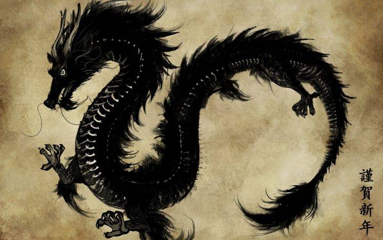 dragon, Chinese HD Wallpaper Desktop Background