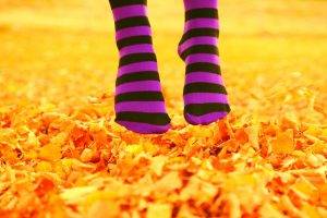 striped Socks, Feet, Leaves, Fall