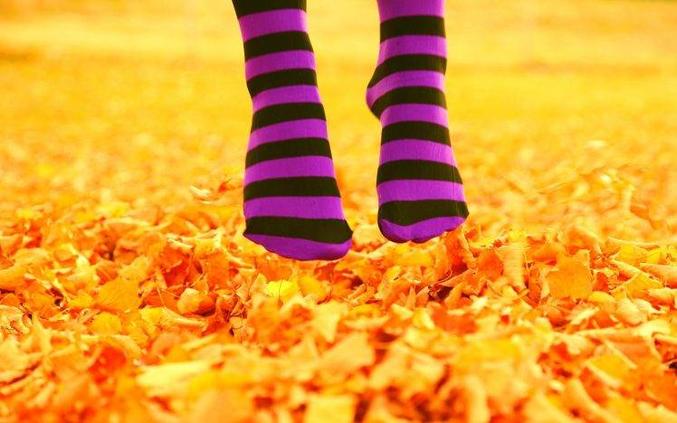 striped Socks, Feet, Leaves, Fall HD Wallpaper Desktop Background
