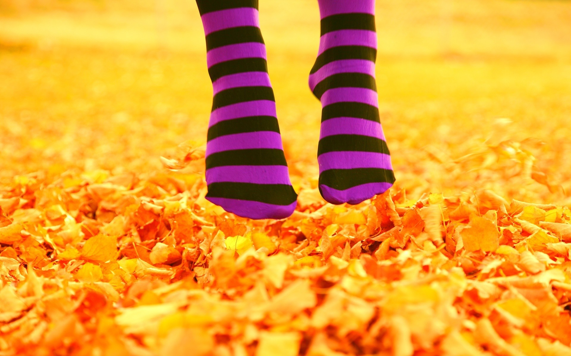 striped Socks, Feet, Leaves, Fall Wallpaper