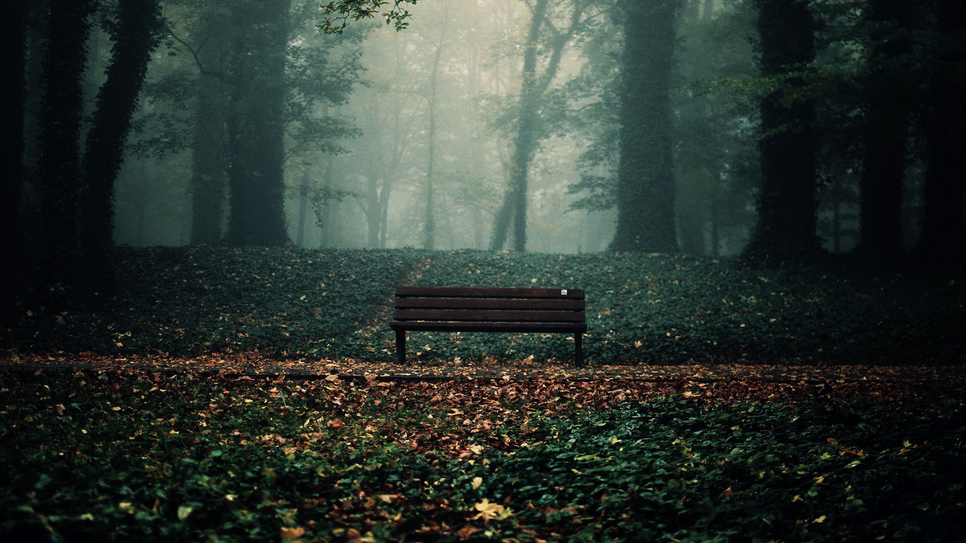 bench, Trees, Forest, Leaves Wallpaper