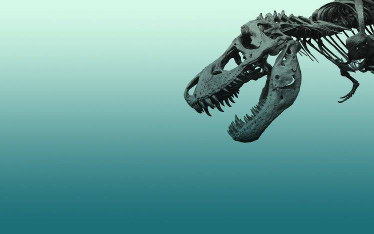 Tyrannosaurus Rex HD Wallpaper Desktop Background