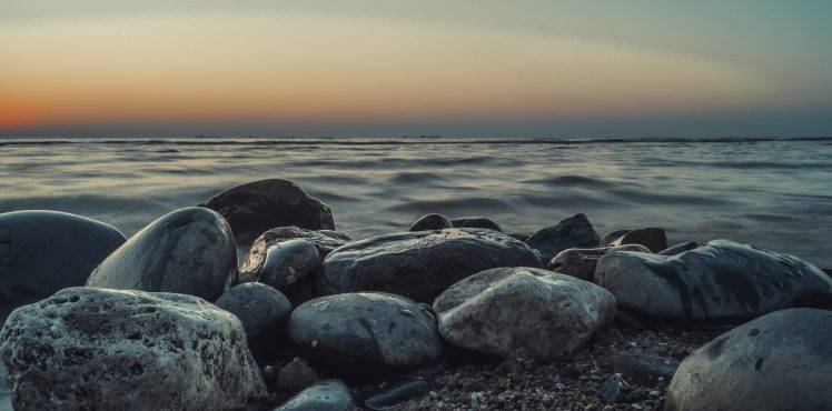 sunset, Stones, Seals, Water, Beach HD Wallpaper Desktop Background