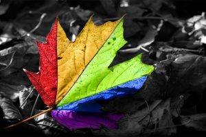 leaves, Selective Coloring