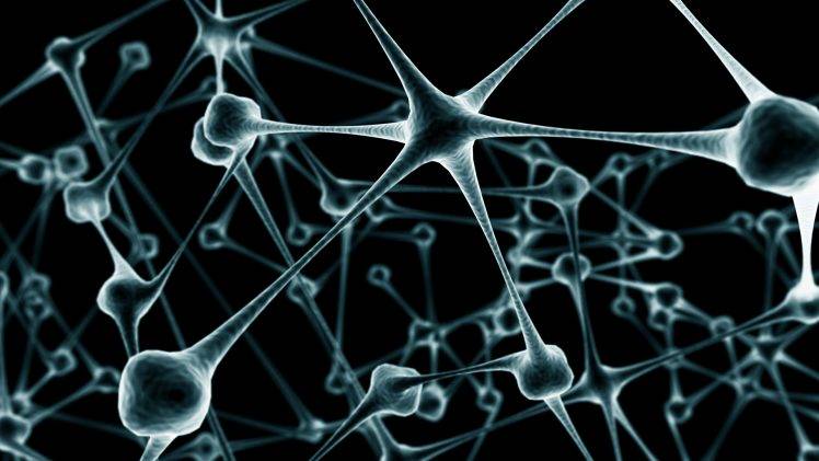 neurons HD Wallpaper Desktop Background