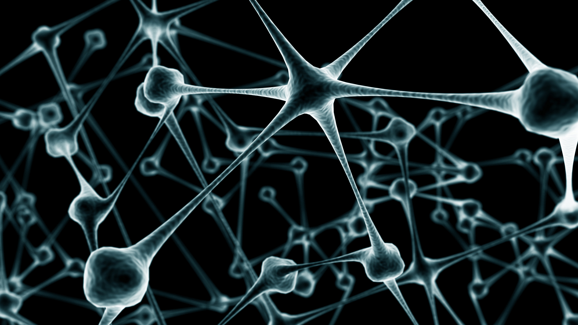 neurons Wallpaper