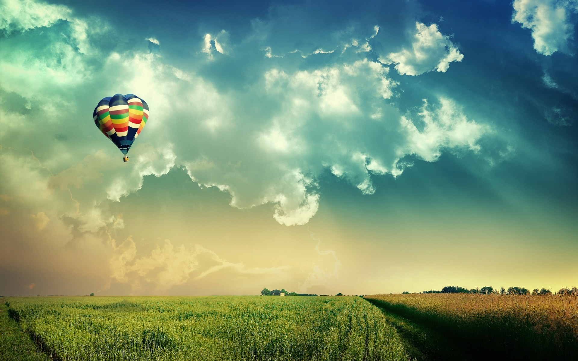 hot Air Balloons, Field, Clouds Wallpaper