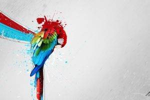 artwork, Parrot, Paint Splatter, Macaws, Simple Background
