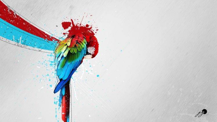 artwork, Parrot, Paint Splatter, Macaws, Simple Background HD Wallpaper Desktop Background