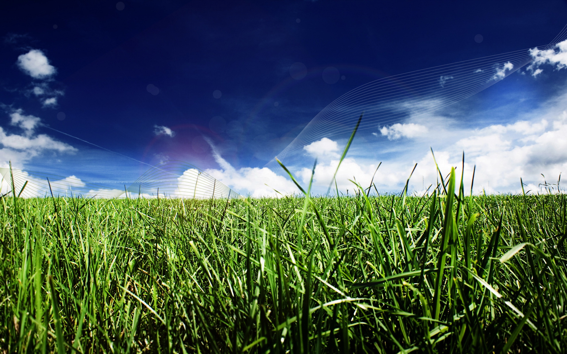 grass Wallpaper