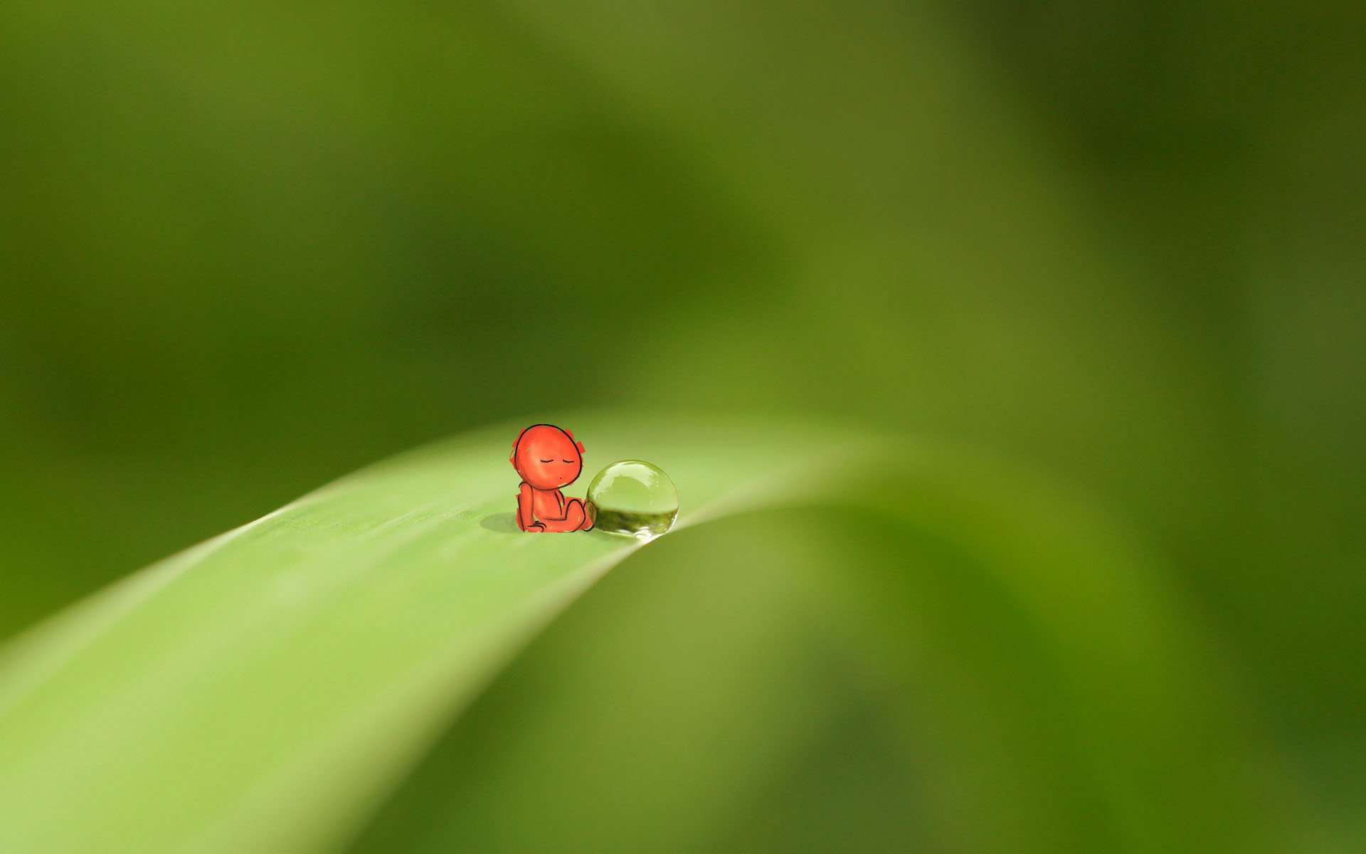 water Drops Wallpaper