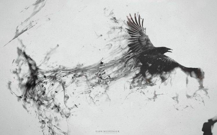 crow, Raven, Ink HD Wallpaper Desktop Background