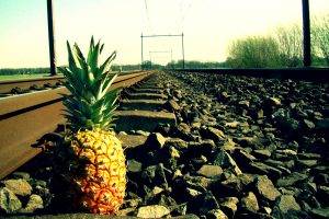 pineapples, Railway