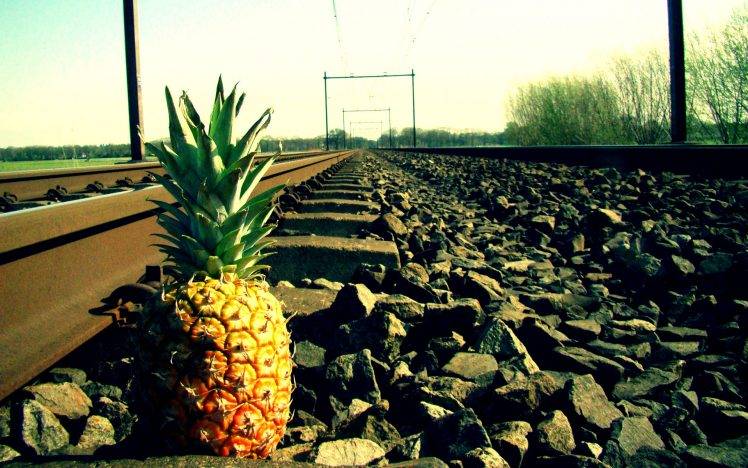 pineapples, Railway HD Wallpaper Desktop Background