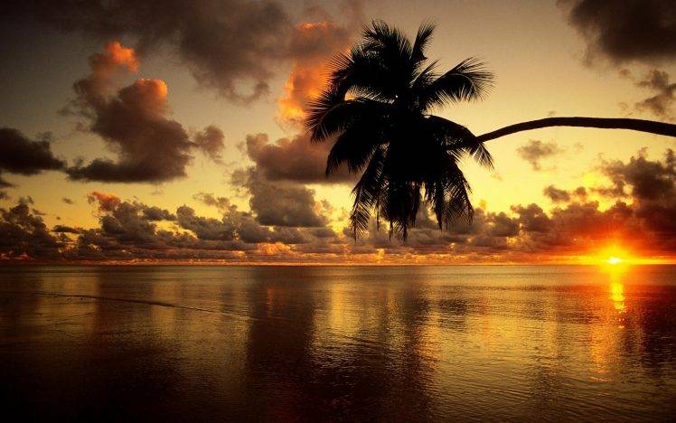 sunset, Sea, Palm Trees HD Wallpaper Desktop Background