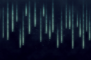 The Matrix, Binary