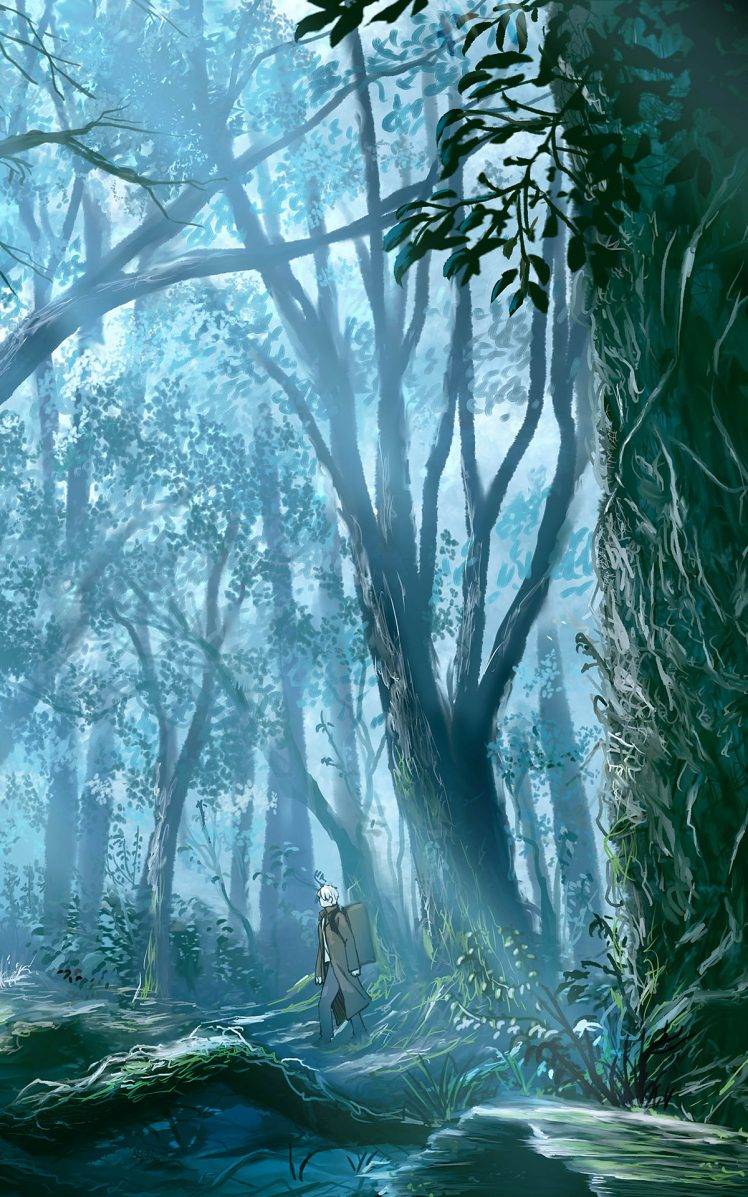forest, Artwork HD Wallpaper Desktop Background