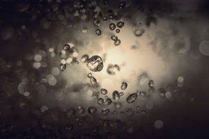 photography, Macro, Water Drops, Sepia