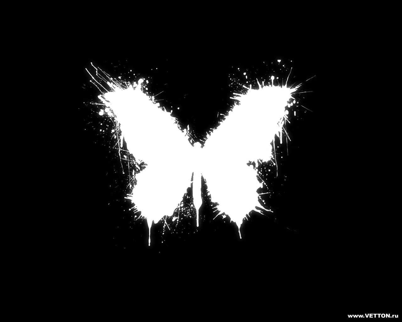 butterfly Wallpaper