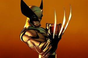 Wolverine, J. Scott Campbell, Adamantium, Claws