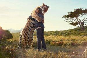tiger, Guys, Hugging