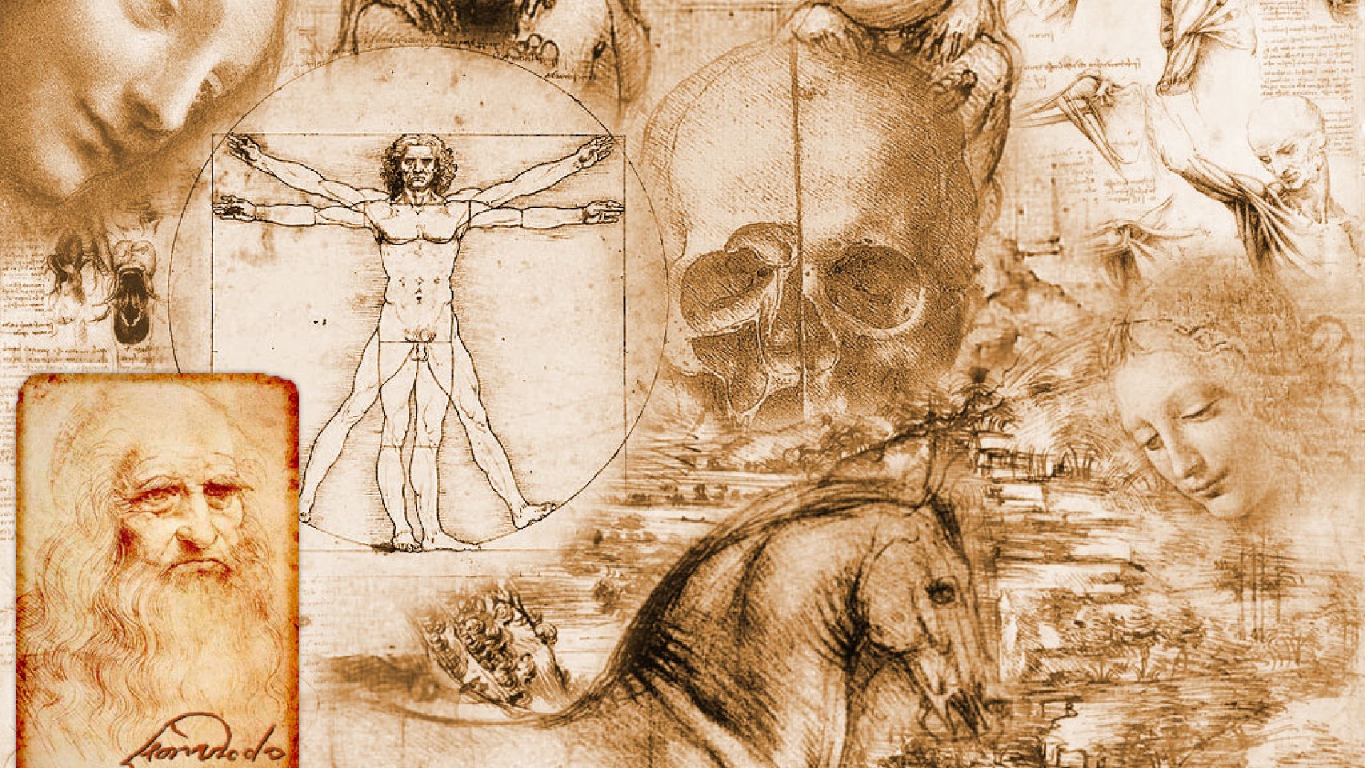 Leonardo Da Vinci, Vitruvian Man Wallpaper