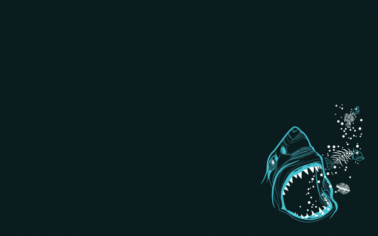 minimalism, Shark HD Wallpaper Desktop Background
