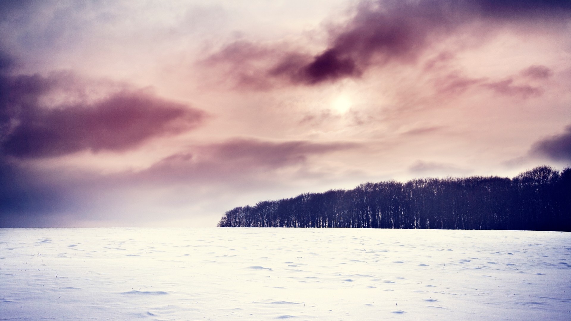forest, Clouds, Snow Wallpaper
