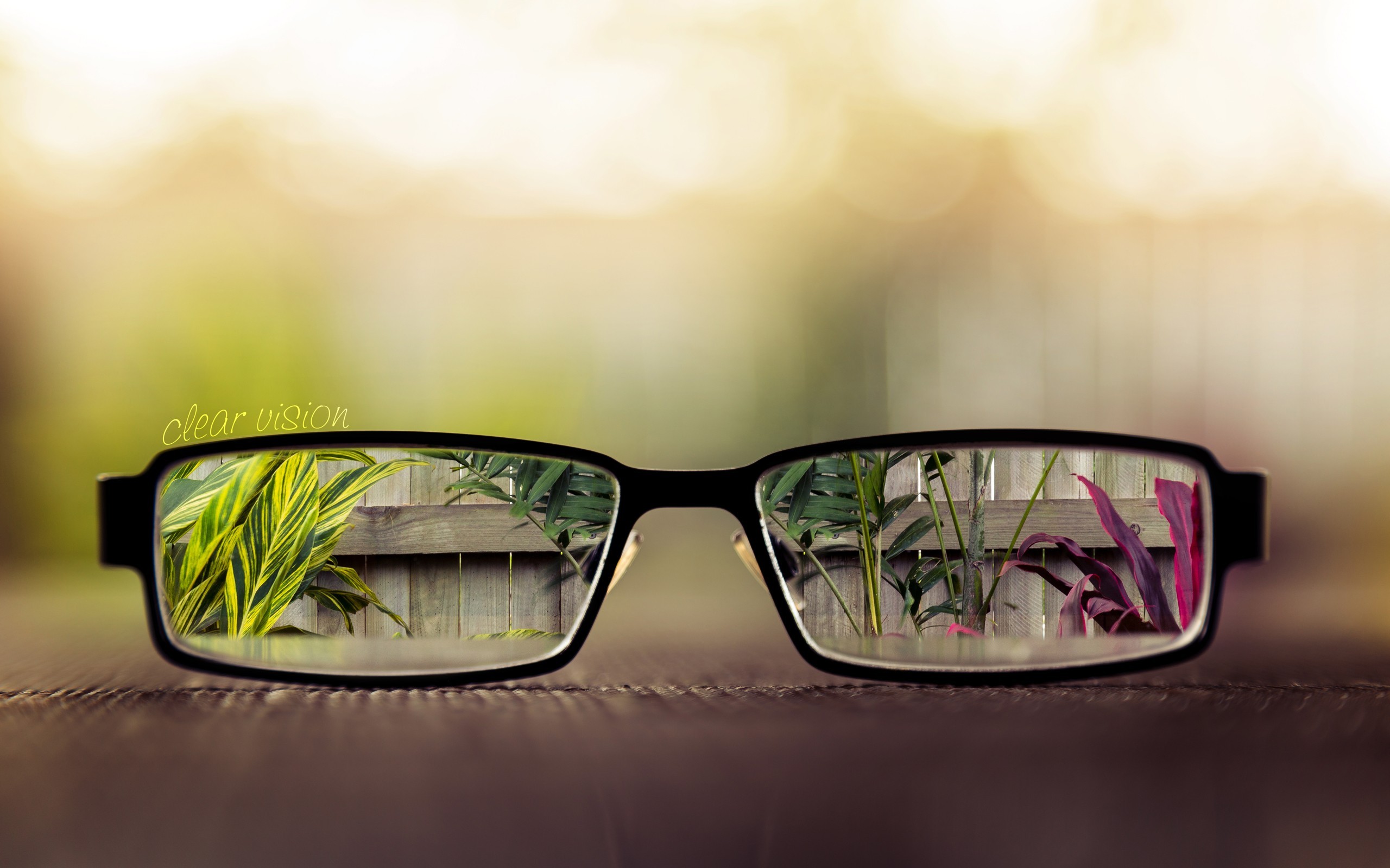 plants, Glasses, Glass Wallpaper