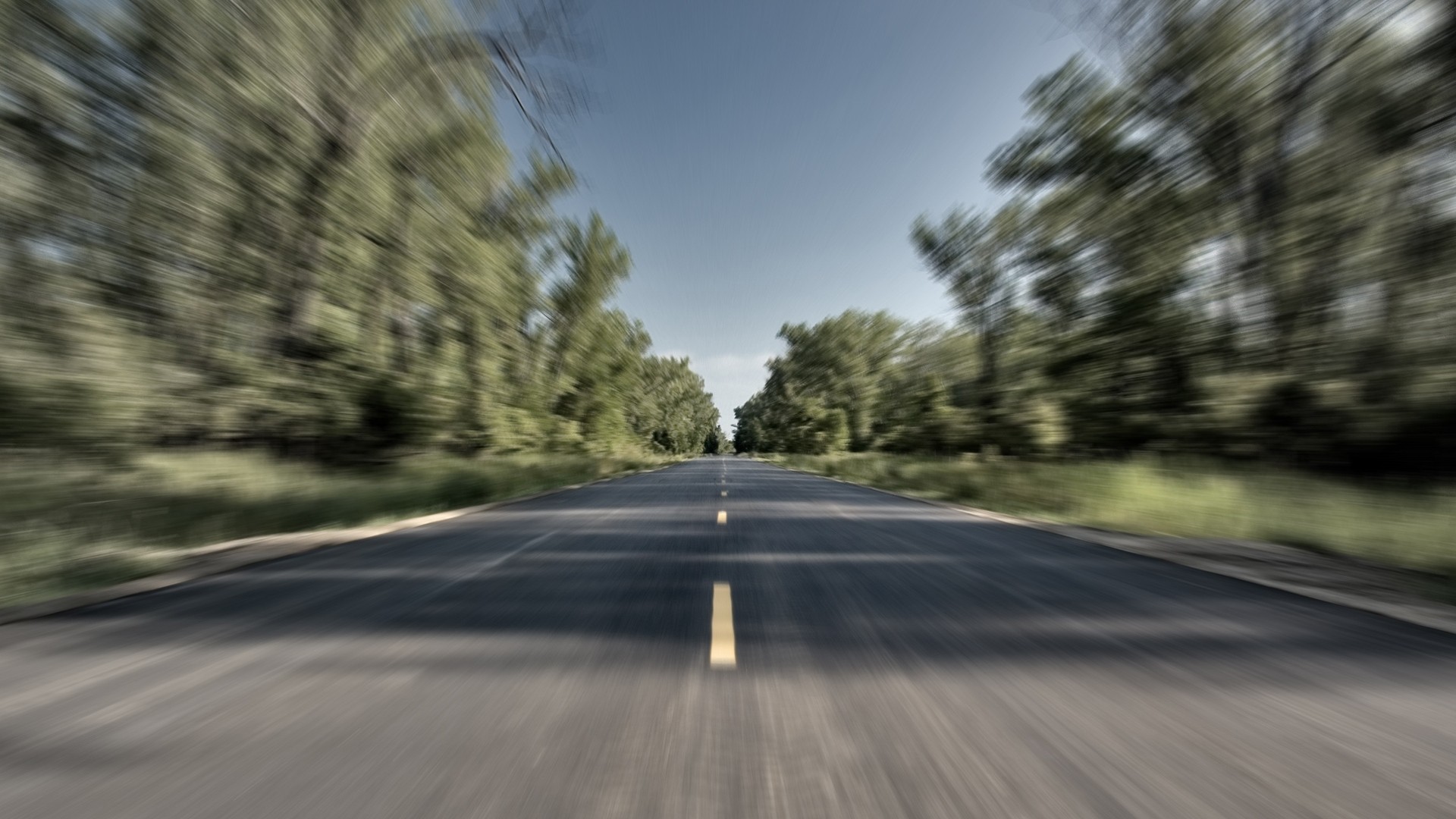 trees, Road Wallpaper