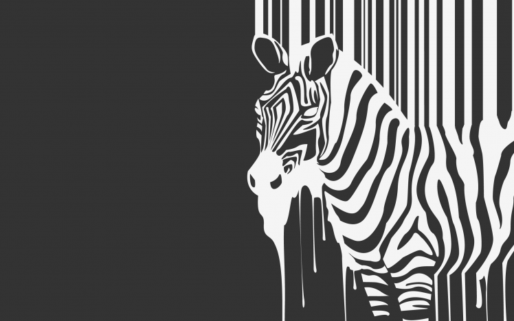 zebras HD Wallpaper Desktop Background