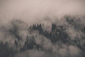 mist, Monochrome