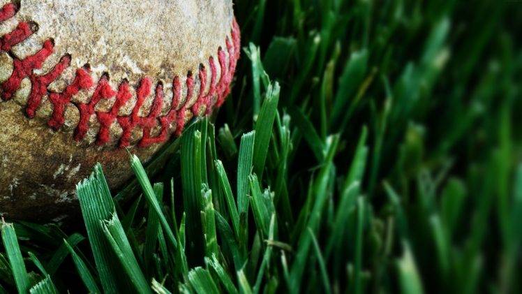macro, Grass, Baseball HD Wallpaper Desktop Background