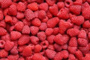 food, Raspberries