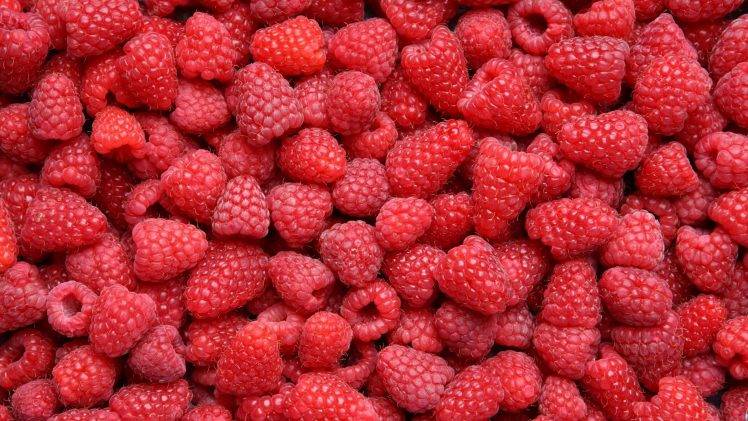 food, Raspberries HD Wallpaper Desktop Background