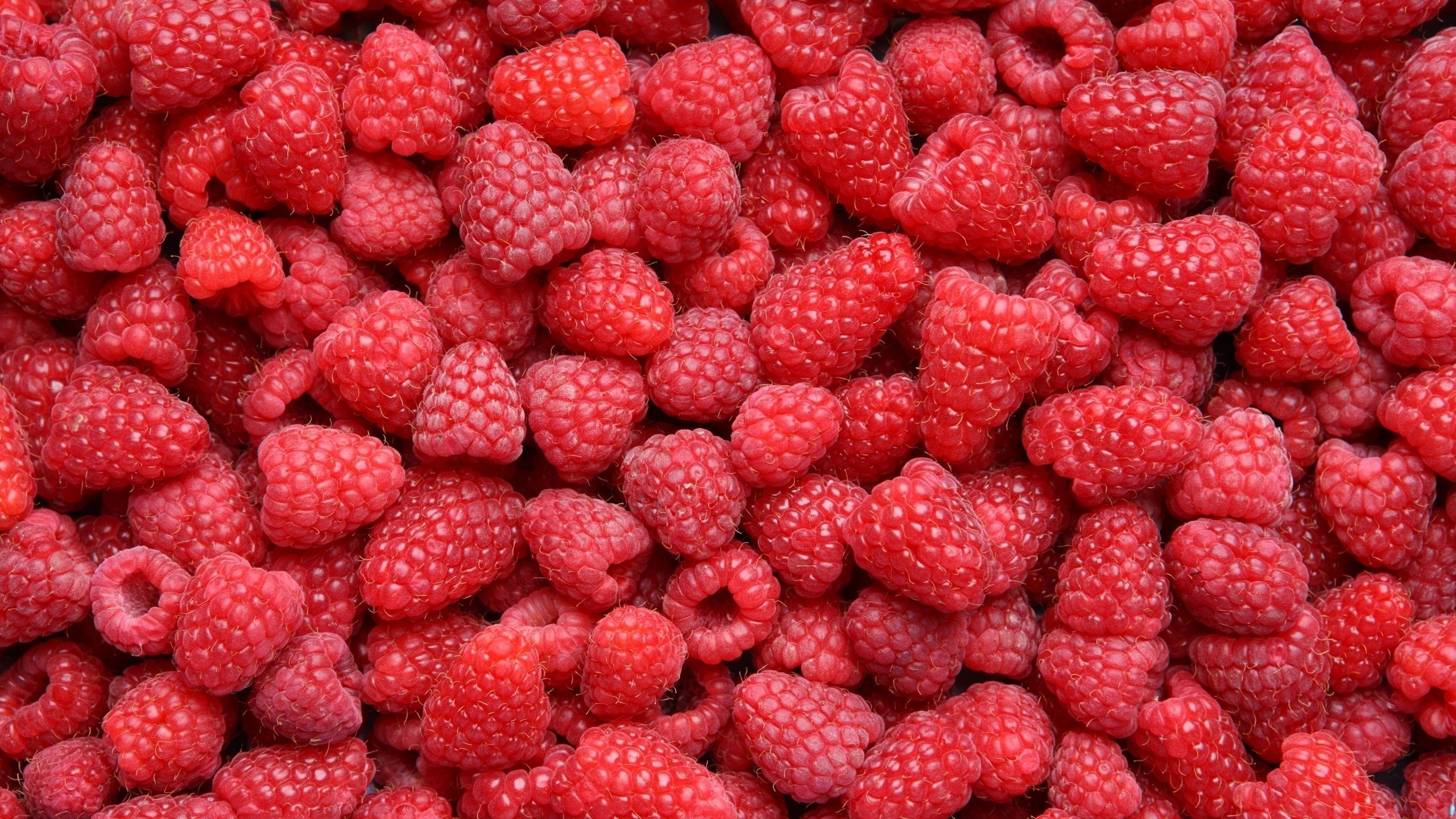 food, Raspberries Wallpaper