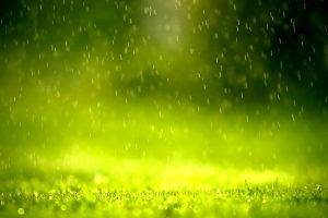 rain, Green, Grass