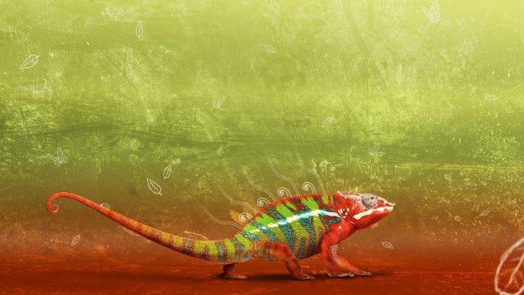 chameleons, Reptile, Grunge, Leaves HD Wallpaper Desktop Background