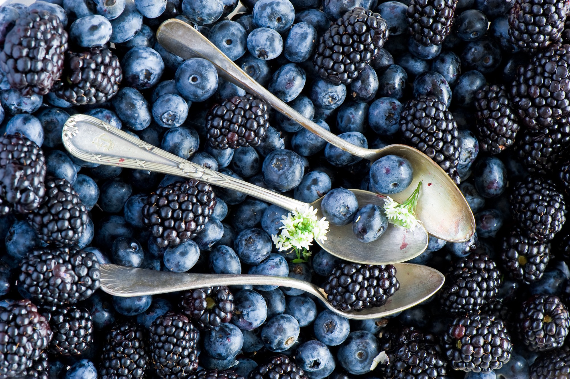 blueberries, Food, Spoons, Berries, Blackberries Wallpaper