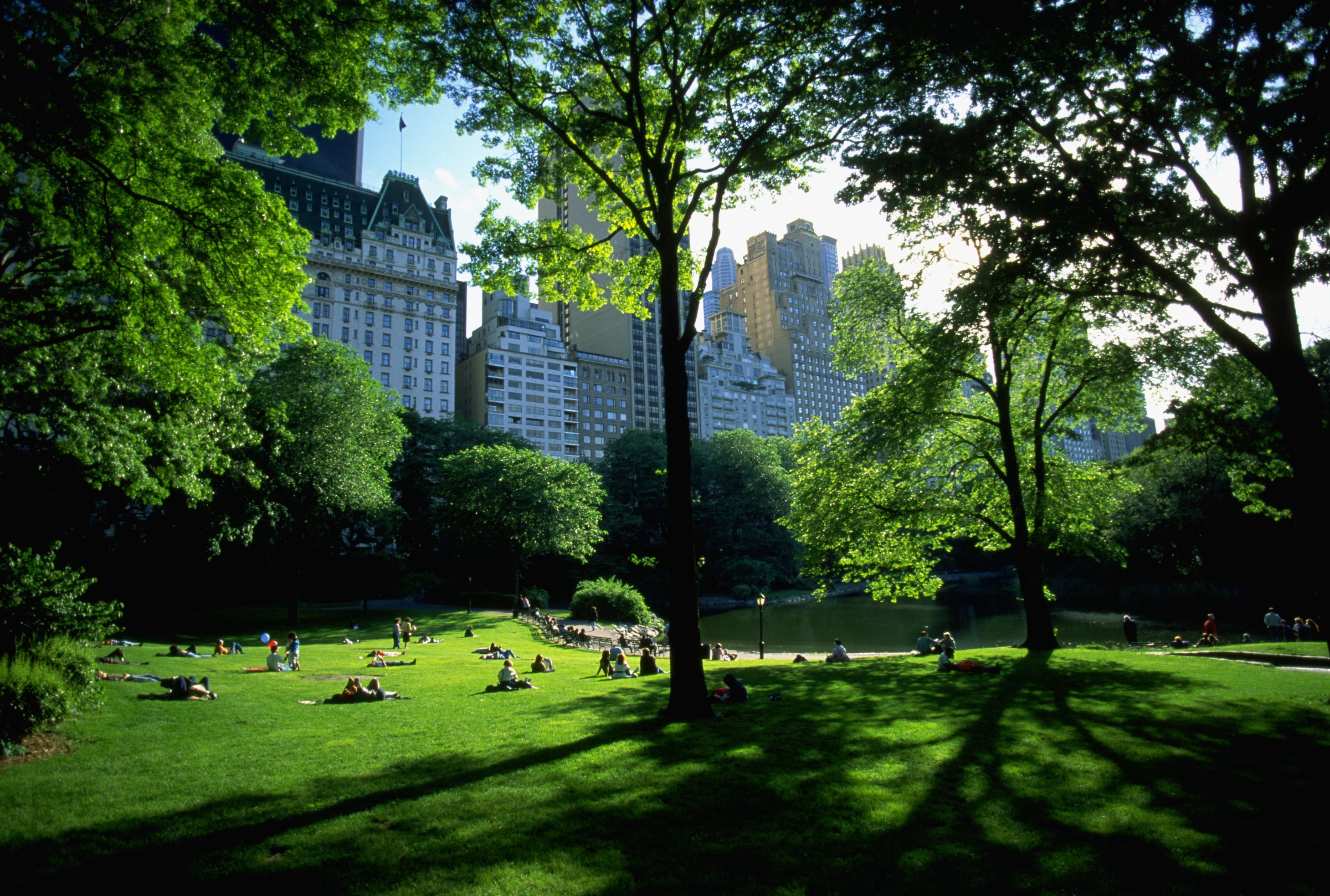 architecture, Central Park, New York City, People, Trees Wallpaper