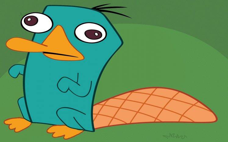 Agent P., Phineas And Ferb, Platypus HD Wallpaper Desktop Background