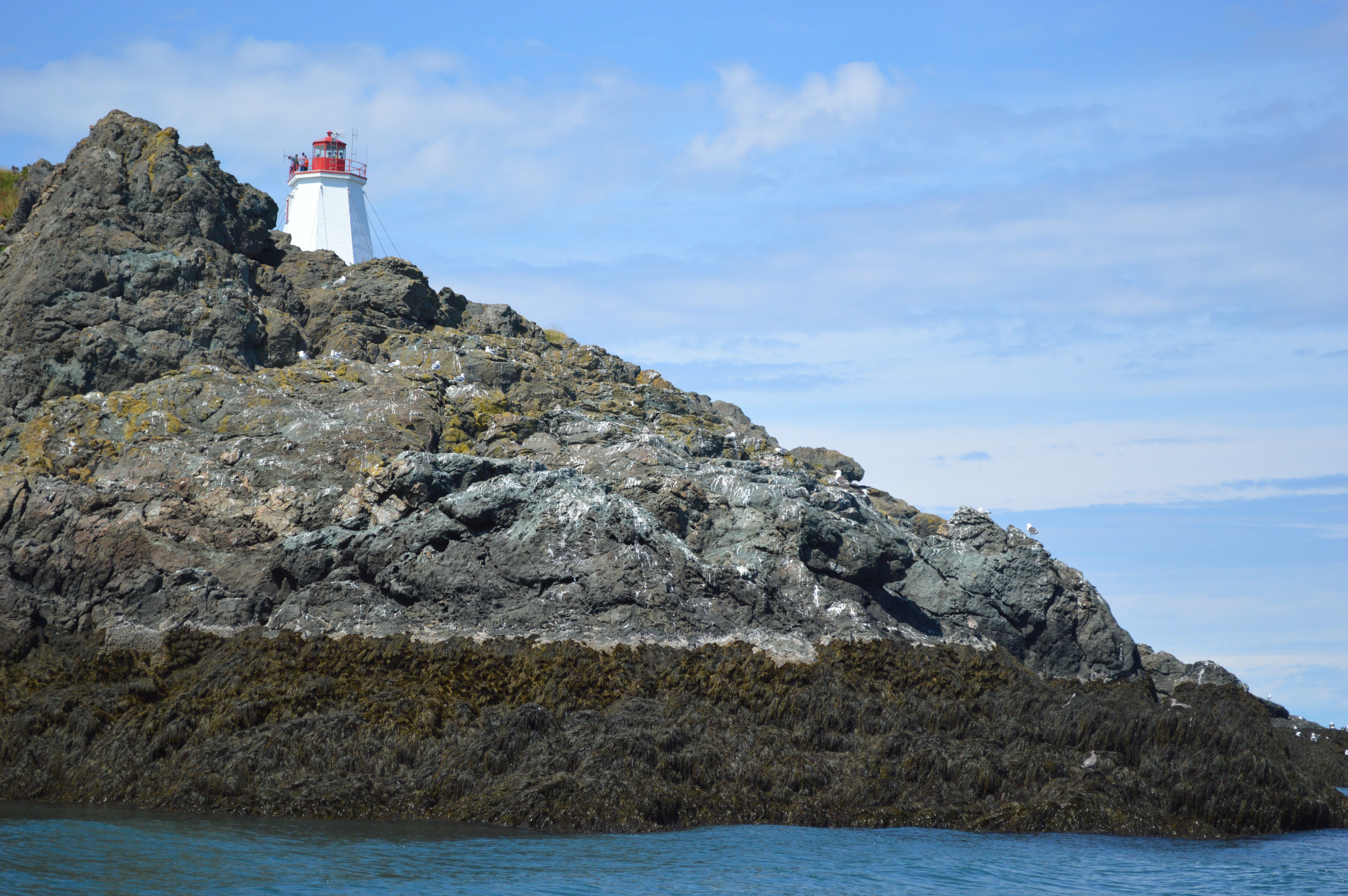 water, Coast, Canada, Lighthouse Wallpaper